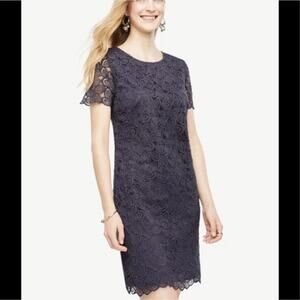 Ann Taylor Leaf lace, navy blue shift dress women’s size 8